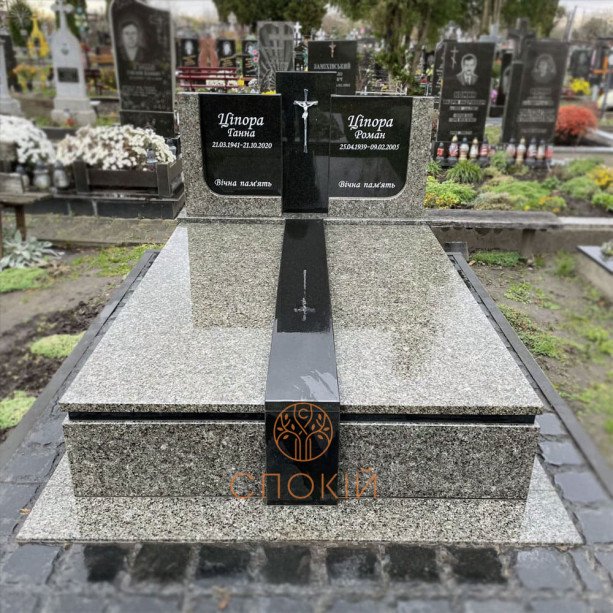 Пам'ятник Є39